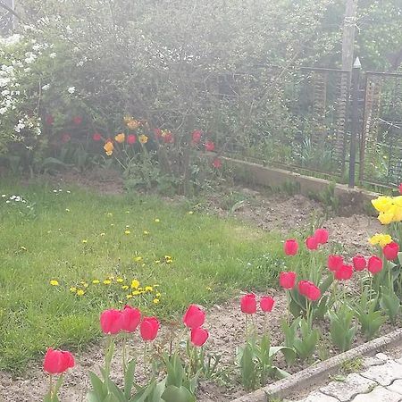 Alom Kucko Apartman Zalaegerszeg Ngoại thất bức ảnh