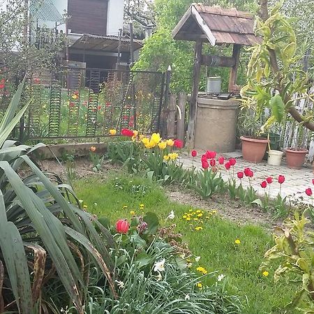 Alom Kucko Apartman Zalaegerszeg Ngoại thất bức ảnh