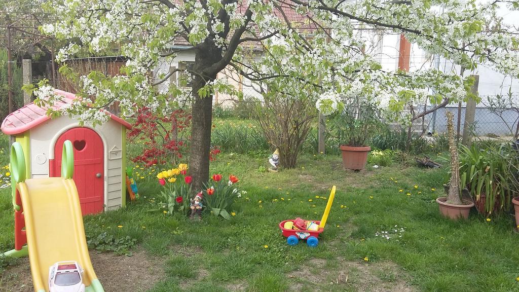 Alom Kucko Apartman Zalaegerszeg Ngoại thất bức ảnh