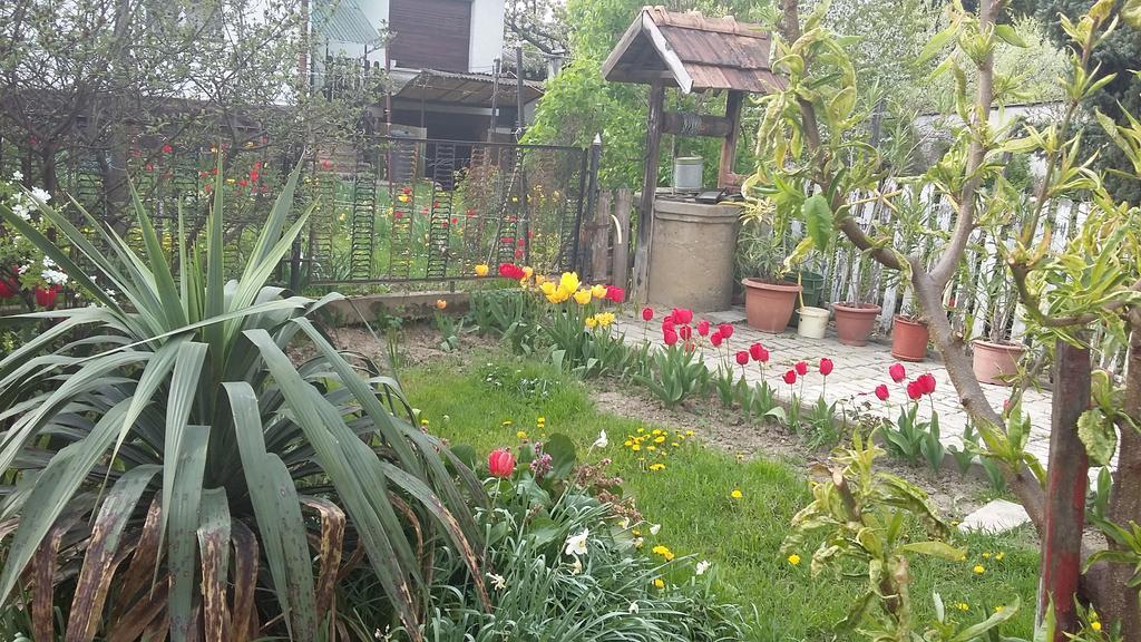 Alom Kucko Apartman Zalaegerszeg Ngoại thất bức ảnh